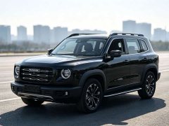 Great Wall Dachshund 1.5T DCT Two-Wheel Drive Malinois-Wangcai Edition - ფოტო 1