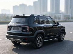 Great Wall Dachshund 1.5T DCT Two-Wheel Drive Malinois-Wangcai Edition - ფოტო 18
