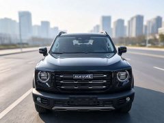 Great Wall Dachshund 1.5T DCT Two-Wheel Drive Malinois-Wangcai Edition - ფოტო 2