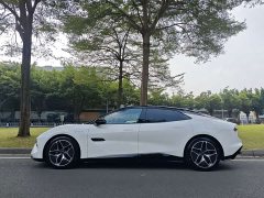 Lotus EMEYA L - ფოტო 4