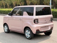 Geely Panda 2024 Panda Mini 200km Endurance Edition - ფოტო 13