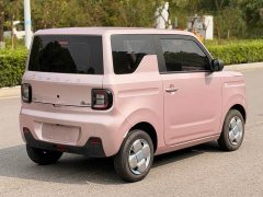 Geely Panda 2024 Panda Mini 200km Endurance Edition - ფოტო 15