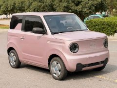 Geely Panda 2024 Panda Mini 200km Endurance Edition - ფოტო 3