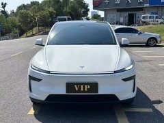 Tesla Model Y Rear-Wheel Drive - ფოტო 2