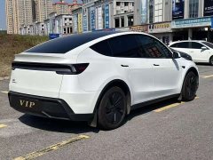 Tesla Model Y Rear-Wheel Drive - ფოტო 3