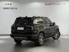 Great Wall Dachshund 2022 1.5T DCT Two-Wheel Drive Border Collie Edition - ფოტო 4
