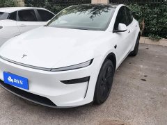 Tesla Model Y Long Range All-Wheel Drive - ფოტო 1