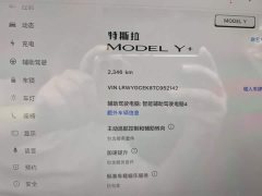 Tesla Model Y Long Range All-Wheel Drive - ფოტო 14