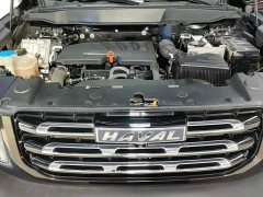 Great Wall Dachshund 2021 Facelift 1.5T DCT Two-Wheel Drive Malinois Edition - ფოტო 10