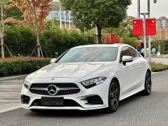 Mercedes-Benz CLS 300 Luxury - ფოტო 1