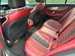 Mercedes-Benz CLS 300 Luxury - ფოტო 10