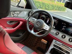 Mercedes-Benz CLS 300 Luxury - ფოტო 13