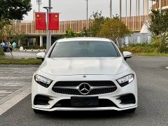 Mercedes-Benz CLS 300 Luxury - ფოტო 2