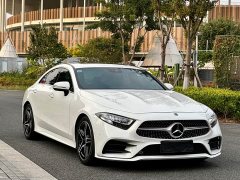 Mercedes-Benz CLS 300 Luxury - ფოტო 3