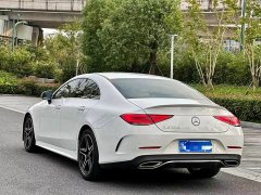 Mercedes-Benz CLS 300 Luxury - ფოტო 4