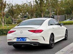 Mercedes-Benz CLS 300 Luxury - ფოტო 6