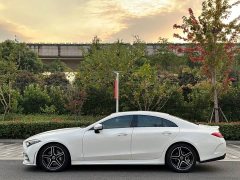 Mercedes-Benz CLS 300 Luxury - ფოტო 7