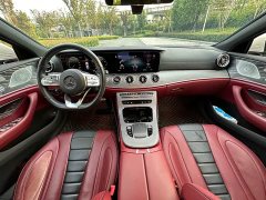 Mercedes-Benz CLS 300 Luxury - ფოტო 8