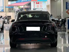 Tesla Model 3 2023 Rear-Wheel Drive - ფოტო 3
