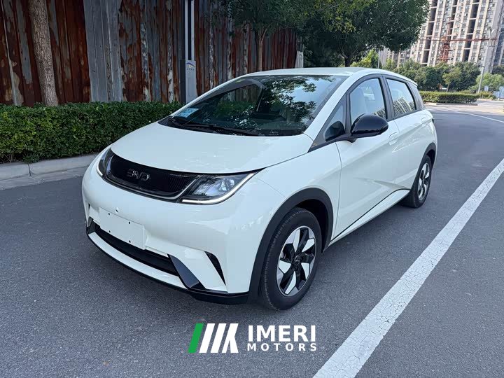 BYD Dolphin 2025 420km Freedom Edition - ავტომობილი ჩინეთიდან
