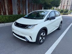 BYD Dolphin 2025 420km Freedom Edition - ფოტო 1