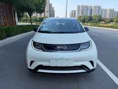 BYD Dolphin 2025 420km Freedom Edition - ფოტო 2