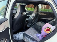 BYD Dolphin 2025 420km Freedom Edition - ფოტო 5