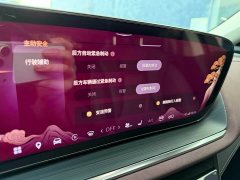 Buick Envision Plus Envision Plus 28T FWD Platinum - ფოტო 20
