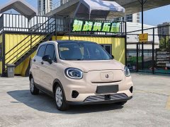 Leapmotor Leapo T03 Star Diamond Edition - ფოტო 3