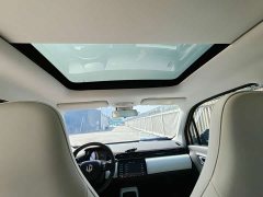 Leapmotor Leapo T03 Star Diamond Edition - ფოტო 7