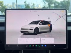 Tesla Model Y Rear-Wheel Drive - ფოტო 10