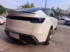 Tesla Model Y Rear-Wheel Drive - ფოტო 13