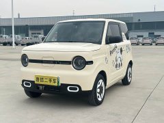 Geely Panda Mini 210km Vitality Edition - ფოტო 1