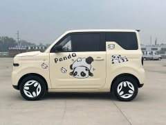 Geely Panda Mini 210km Vitality Edition - ფოტო 12