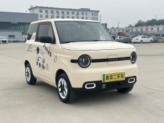 Geely Panda Mini 210km Vitality Edition - ფოტო 2