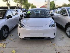 Geely Star Wish 310km Aspiration Edition - ფოტო 2