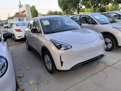 Geely Star Wish 310km Aspiration Edition - ფოტო 3