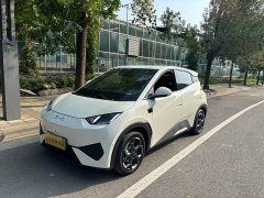 BYD Seagull 305km Freedom Edition - ფოტო 1