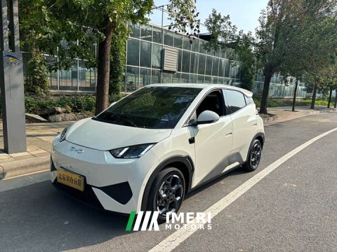2025 BYD Seagull 305km Freedom Edition - ავტომობილი ჩინეთიდან