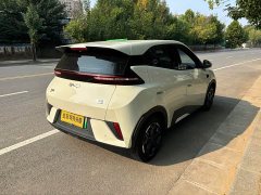 BYD Seagull 305km Freedom Edition - ფოტო 10