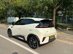 BYD Seagull 305km Freedom Edition - ფოტო 11