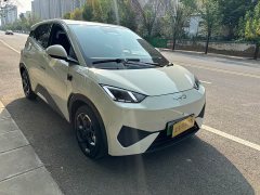 BYD Seagull 305km Freedom Edition - ფოტო 3