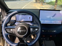 BYD Seagull 305km Freedom Edition - ფოტო 8