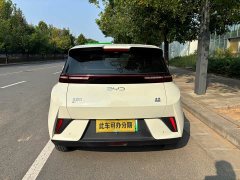 BYD Seagull 305km Freedom Edition - ფოტო 9