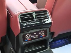 BMW 5 Series 530Li Luxury Edition Premium Package - ფოტო 14