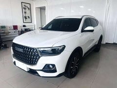 Haval H6 National Trend Edition 1.5T Automatic Urban Version - ფოტო 1