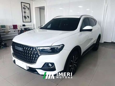 2023 Haval H6 National Trend Edition 1.5T Automatic Urban Version