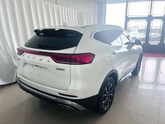 Haval H6 National Trend Edition 1.5T Automatic Urban Version - ფოტო 11