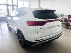 Haval H6 National Trend Edition 1.5T Automatic Urban Version - ფოტო 13