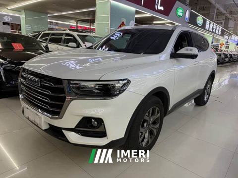 2023 Haval H6 National Trend 1.5GDIT Automatic Champion Edition - ავტომობილი ჩინეთიდან